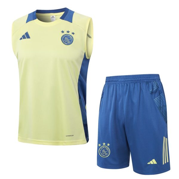 Ajax training vest 2024 yellow