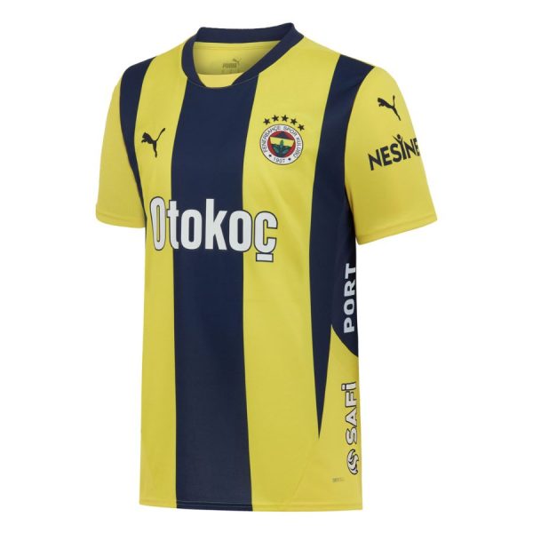 Fenerbahce 2024 Striped Jersey