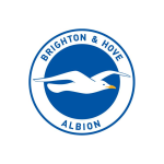 Brighton Jersey
