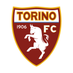 Torino Jersey